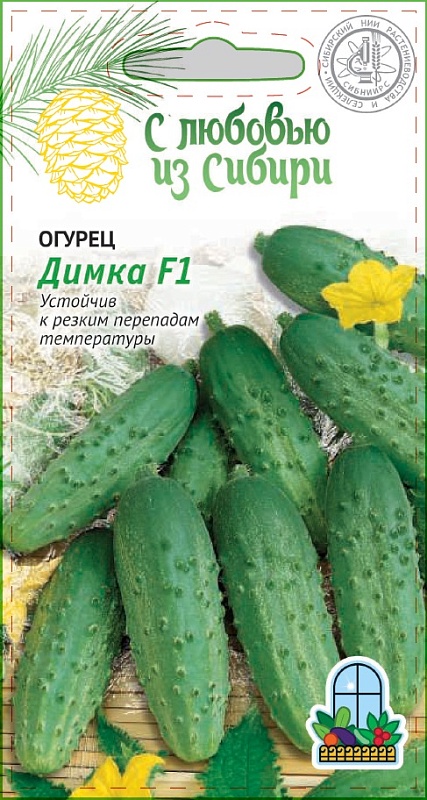 Огурец Димка F1 0,25г цв.п (Сибирская серия)